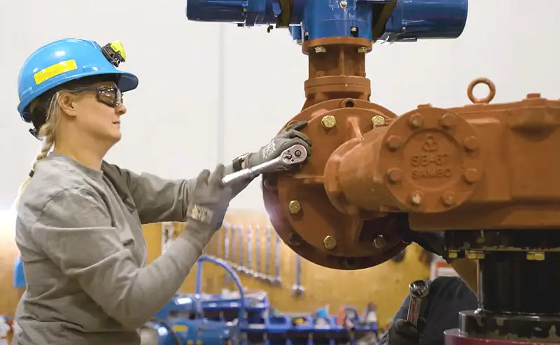 CGIS — Service & Repair of Industrial Valves