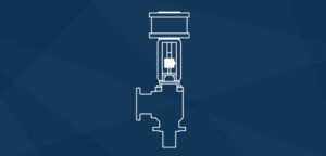 CGIS — Control Valves