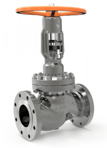 Globe Valves • CGIS: Valves, Actuators & Accessories for Severe Service