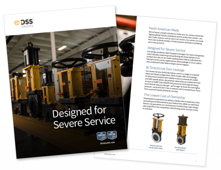 DSS Valves • CGIS: Valves, Actuators & Accessories for Severe Service