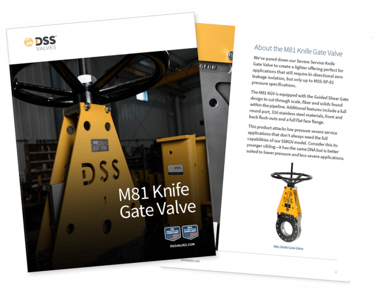 DSS Valves • CGIS: Valves, Actuators & Accessories for Severe Service