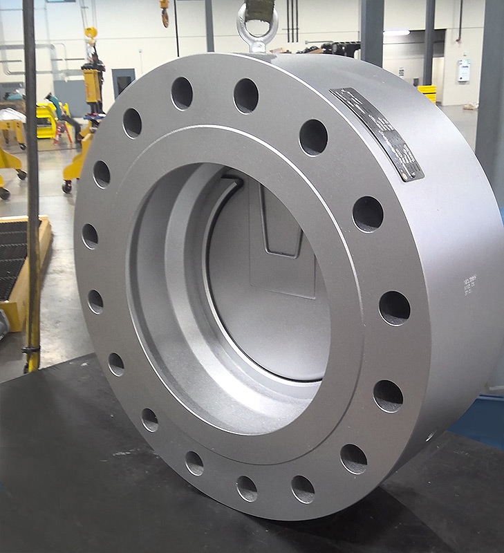 DSS Valves — Severe Service Check Valves